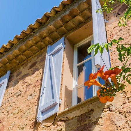 Chateau Des Bertrands Le Cannet-des-Maures Luaran gambar